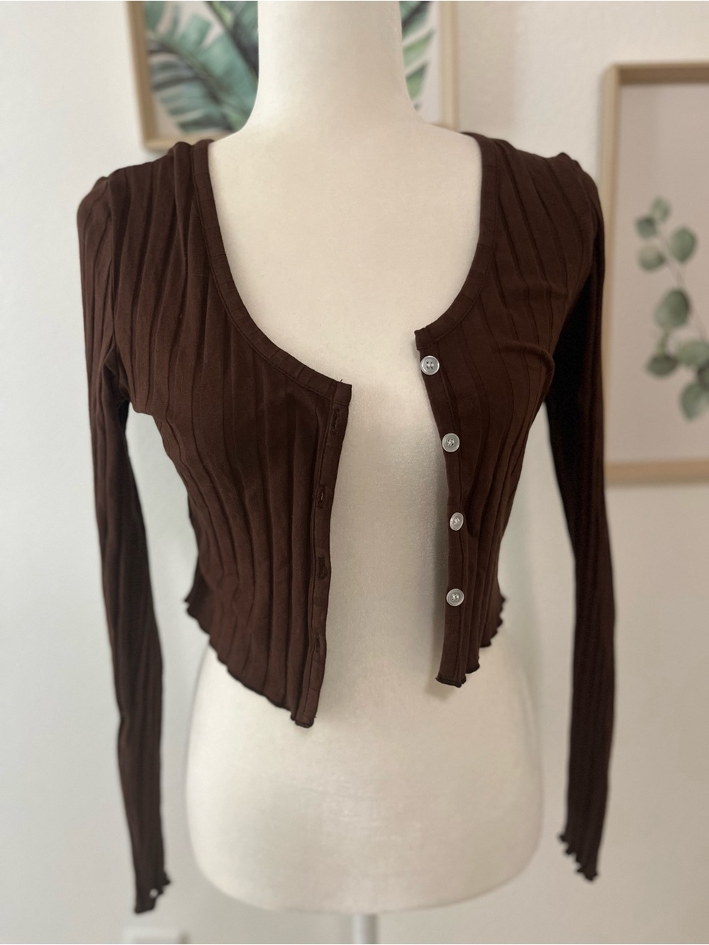 Shein Casual Solid Color Long Sleeve Tight Cropped